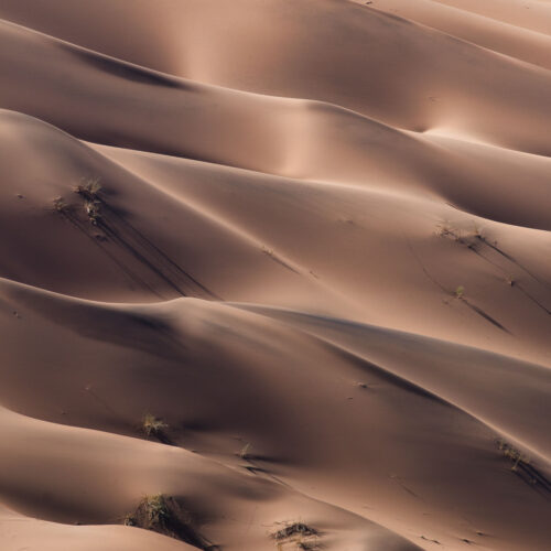 Dunas de arena del desierto de Namibia con vegetación dispersa y sombras marcadas por la luz lateral