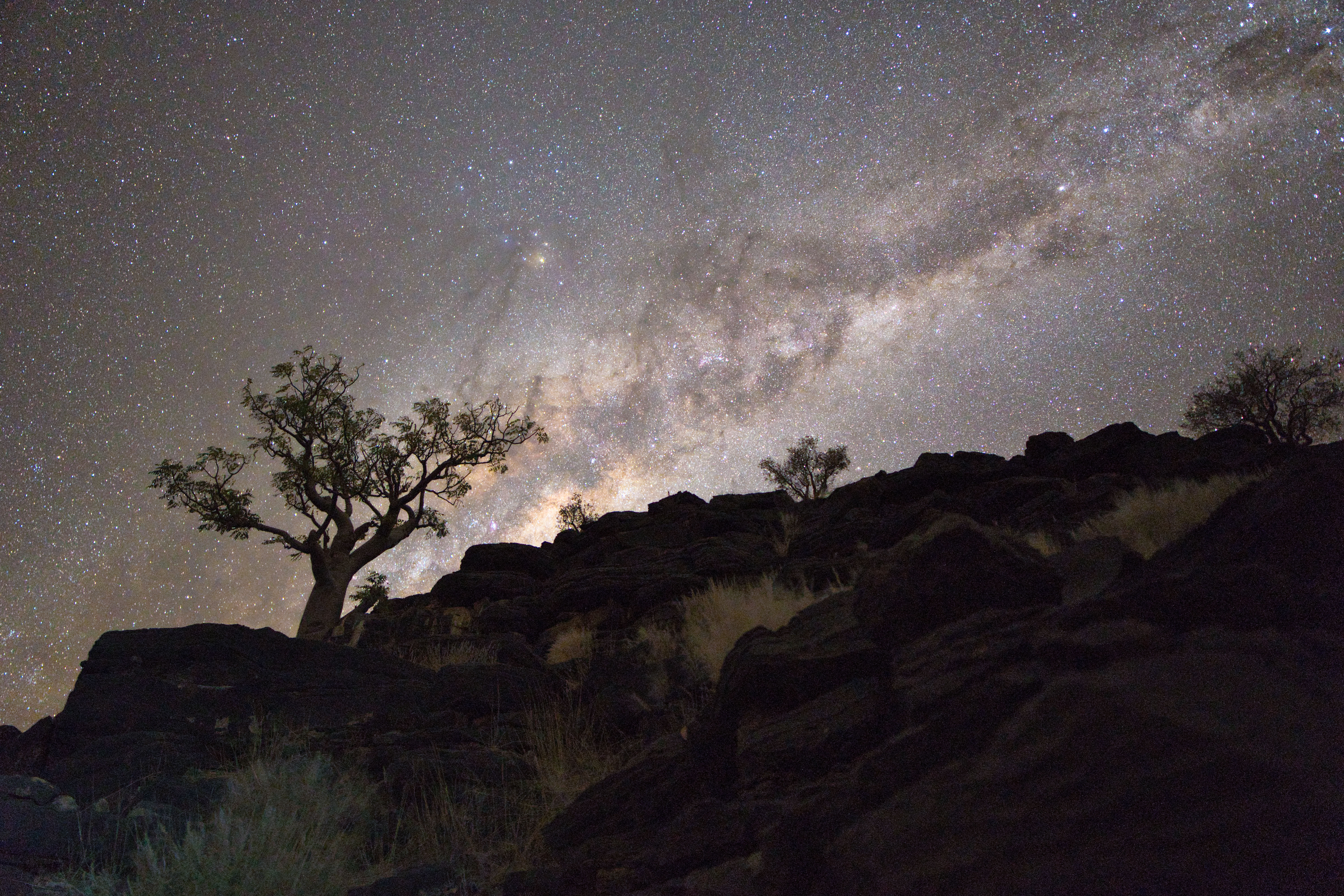 Vía Láctea sobre árbol quiébra en silhueta con formaciones rocosas de Namibia