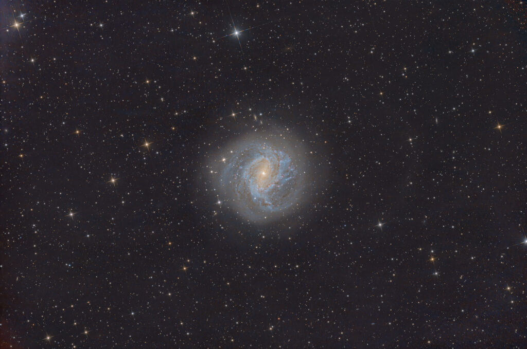 Galaxia espiral M83 fotografiada desde Rooisand, Namibia, con sus brazos azulados y núcleo amarillento entre miles de estrellas