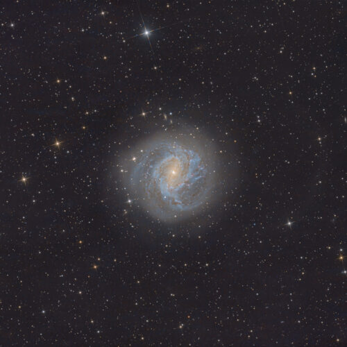 Galaxia espiral M83 fotografiada desde Rooisand, Namibia, con sus brazos azulados y núcleo amarillento entre miles de estrellas