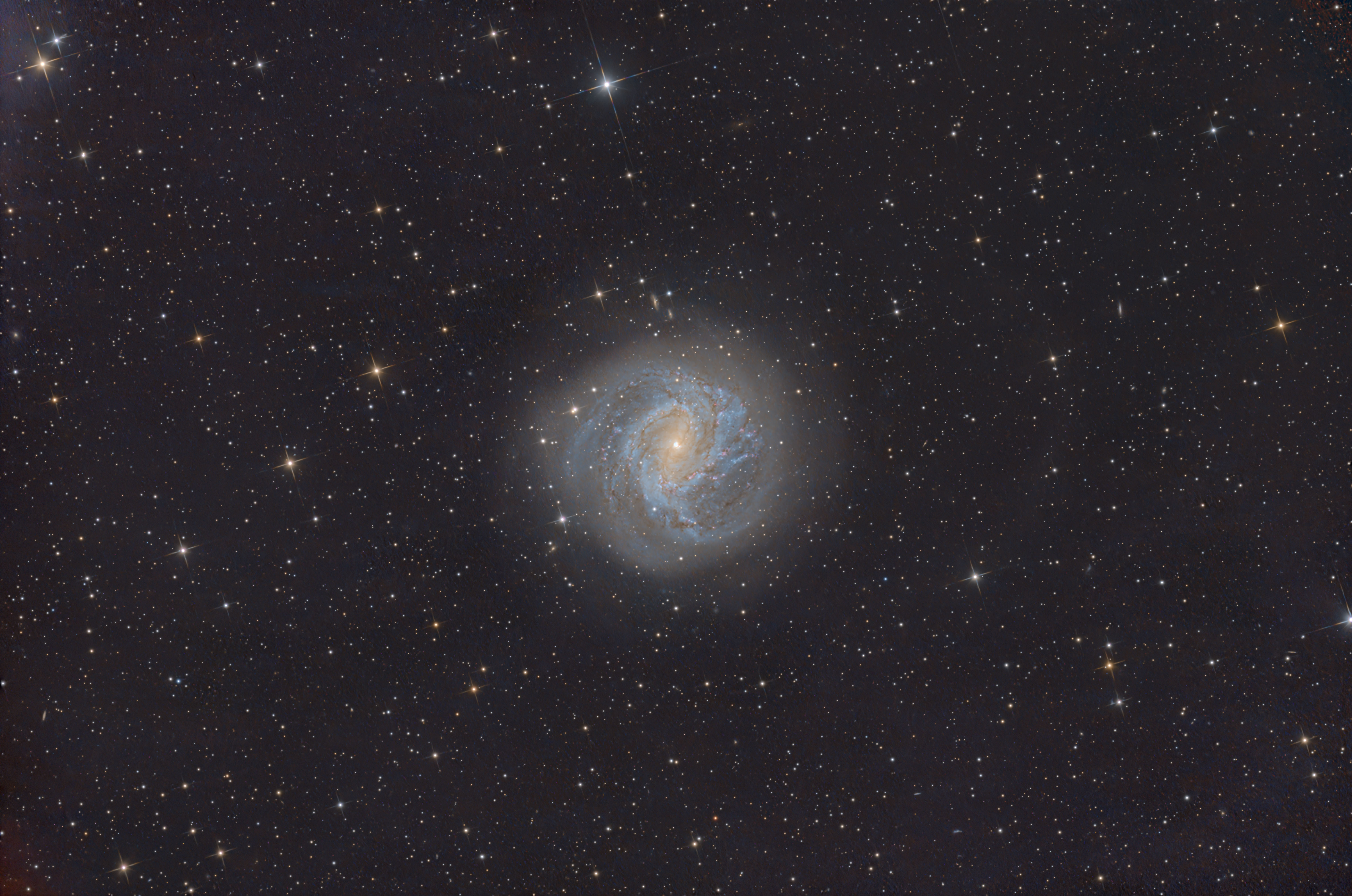 Galaxia espiral M83 fotografiada desde Rooisand, Namibia, con sus brazos azulados y núcleo amarillento entre miles de estrellas