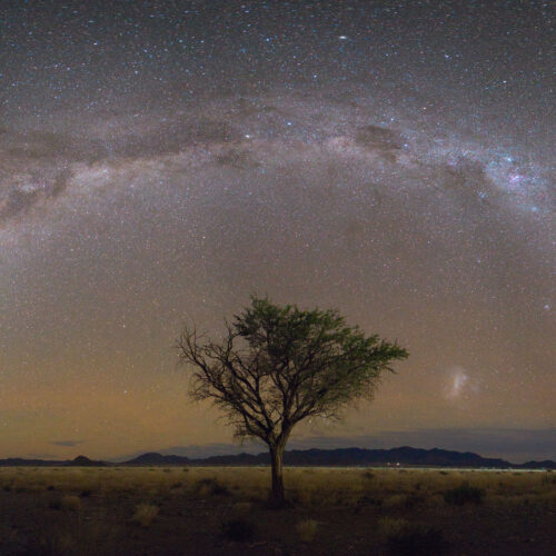 Árbol solitario en la sabana de Namibia bajo la Vía Láctea arqueada en el cielo nocturno estrellado