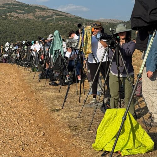 Grupo de observadores astronómicos con telescopios en montaña árida bajo cielo despejado