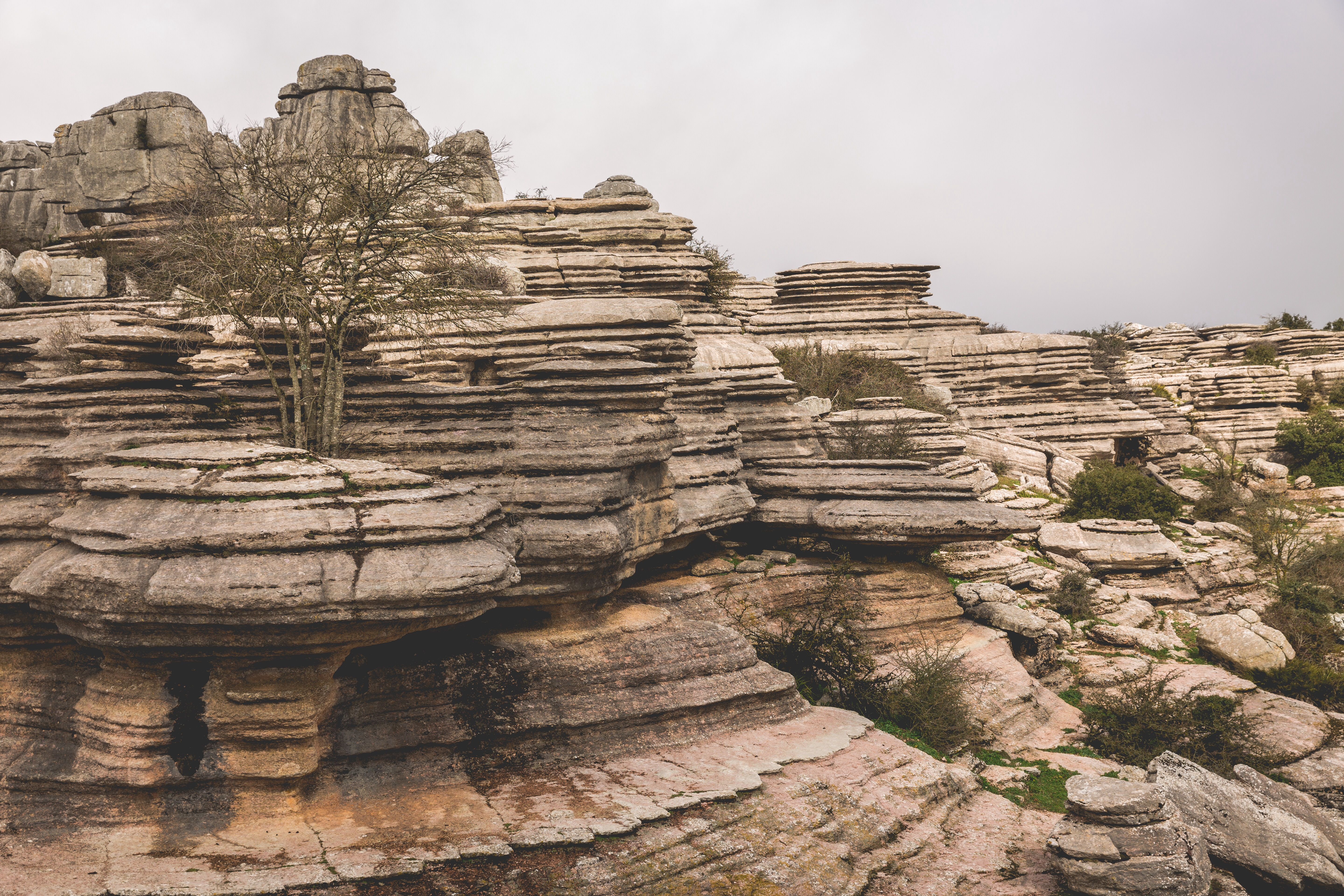 Formaciones rocosas estratificadas del Torcal de Antequera con vegetación dispersa y cielo nublado
