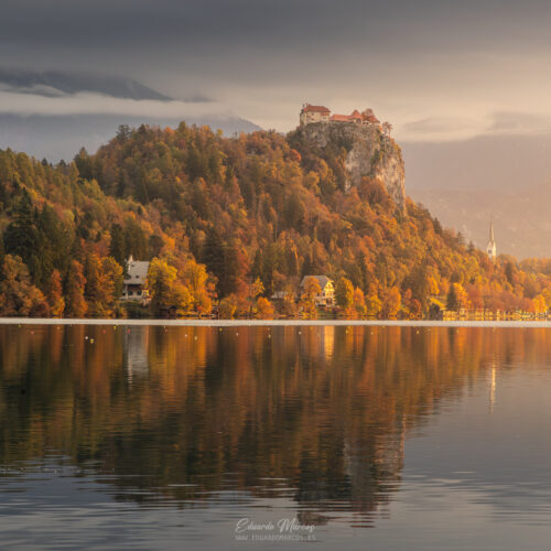 Lago Bled en otoño con castillo en acantilado, bosque dorado reflejado en agua tranquila y montañas al fondo