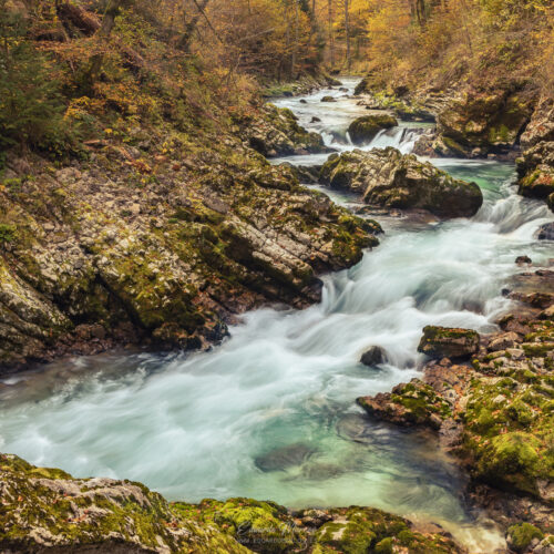 Río turquesa fluyendo entre rocas cubiertas de musgo en un desfiladero boscoso con vegetación otoñal