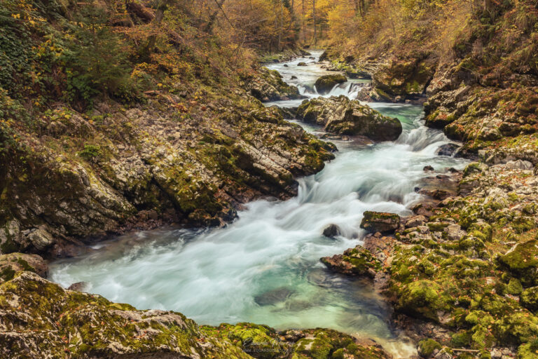 Río turquesa fluyendo entre rocas cubiertas de musgo en un desfiladero boscoso con vegetación otoñal