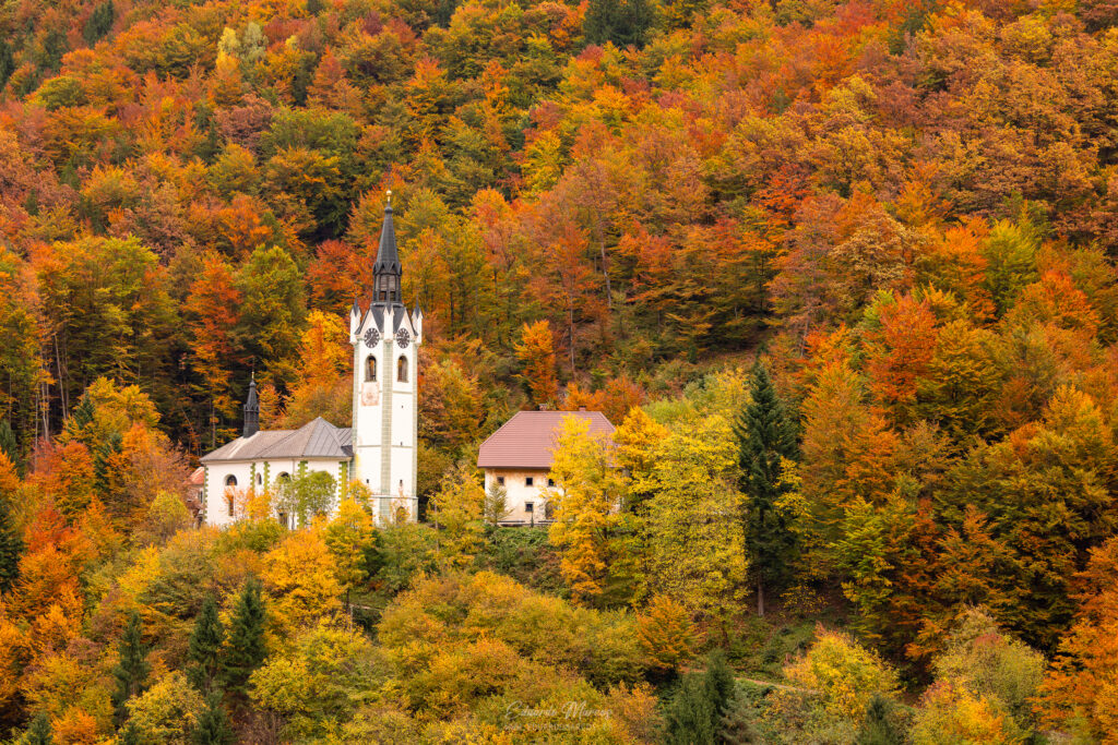 Iglesia blanca con campanario entre bosque de otoño dorado en valle boscoso