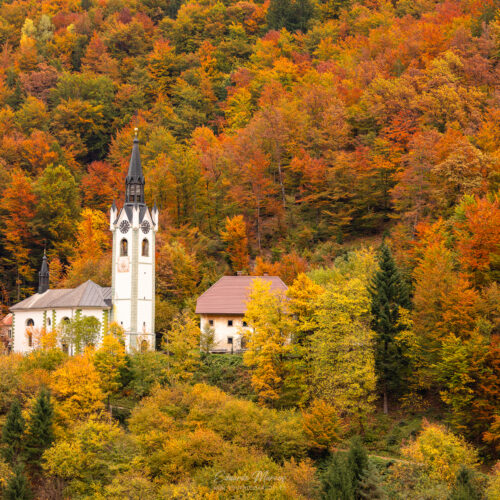 Iglesia blanca con campanario entre bosque de otoño dorado en valle boscoso