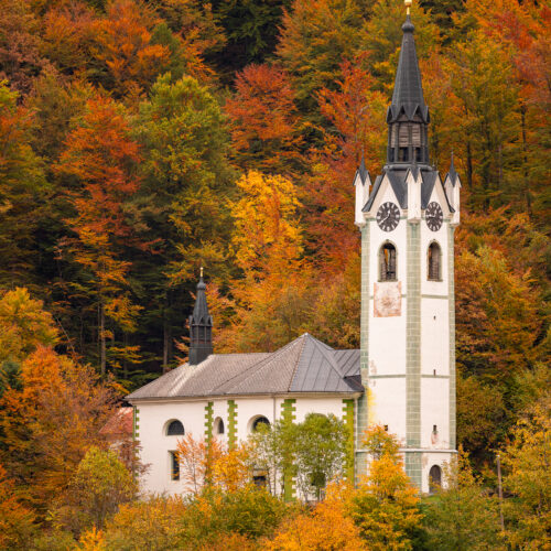 Iglesia blanca con campanario negro rodeada de bosque en tonos otoñales de naranja y oro