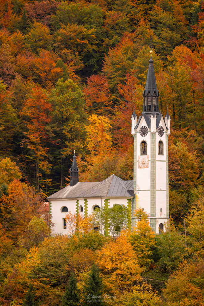 Iglesia blanca con campanario negro rodeada de bosque en tonos otoñales de naranja y oro