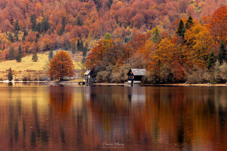 Casas de madera junto a lago alpino en otoño, rodeadas de bosque con árboles en tonos rojos y dorados