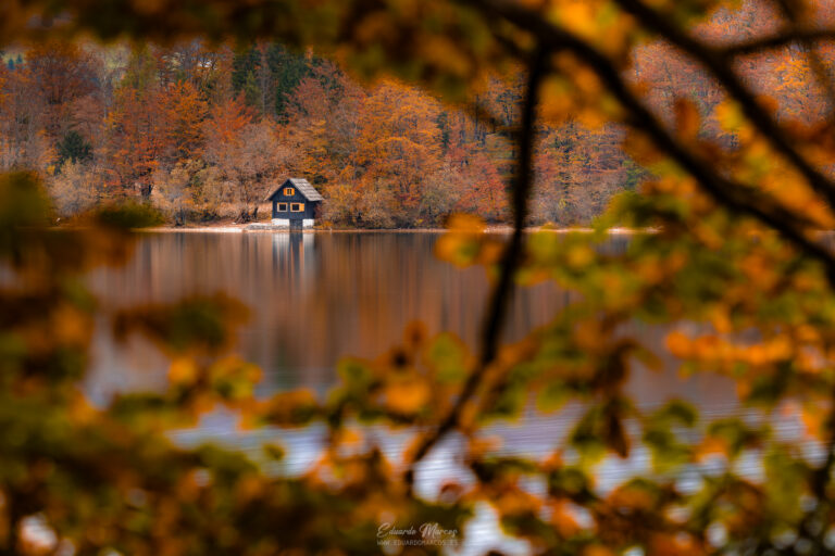 Casa de madera junto a lago alpino rodeada de bosque otoñal con árboles ocres y verdes reflejados en el agua