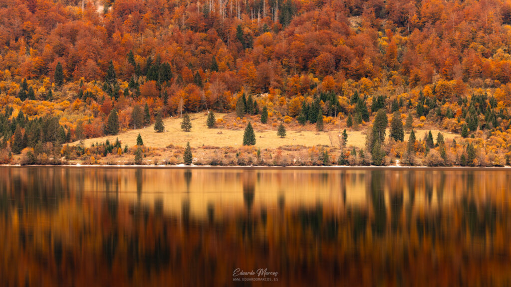 Lago alpino con bosque de alerces dorados reflejados en agua espejada, rodeado de montañas boscosas en otoño
