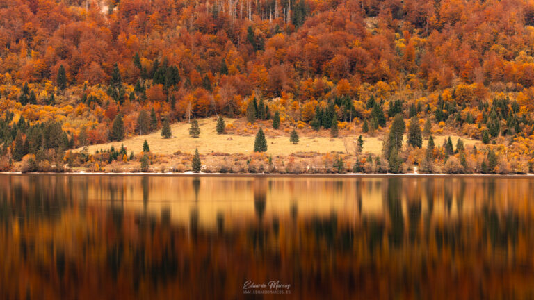 Lago alpino con bosque de alerces dorados reflejados en agua espejada, rodeado de montañas boscosas en otoño