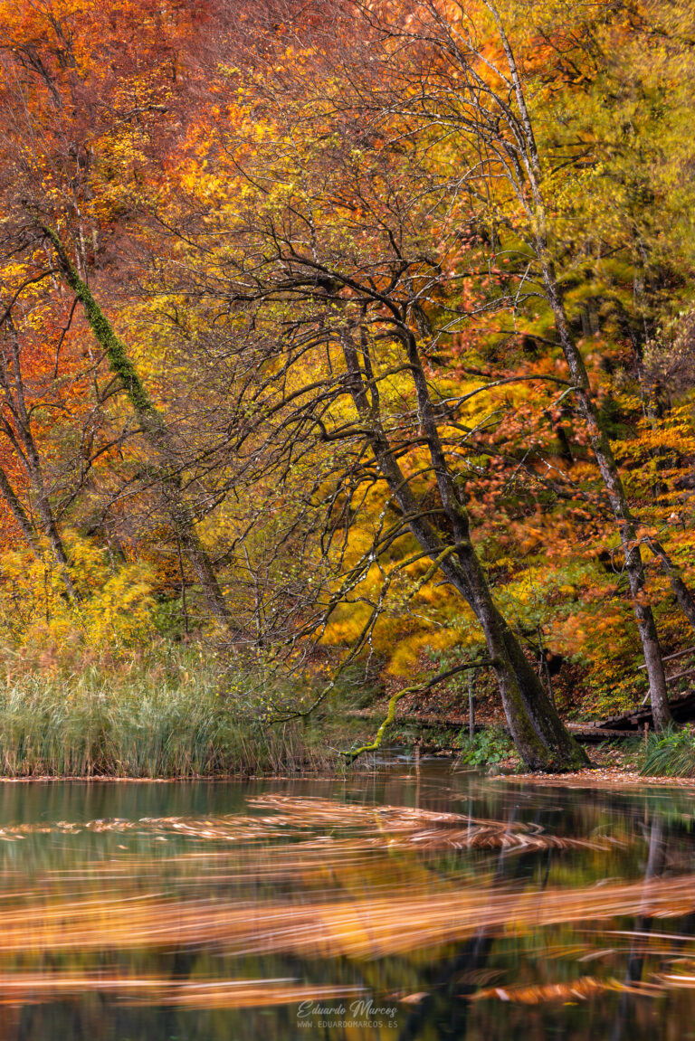 Río serpenteante rodeado de árboles en otoño con follaje amarillo y naranja, Plitvice, Eslovenia