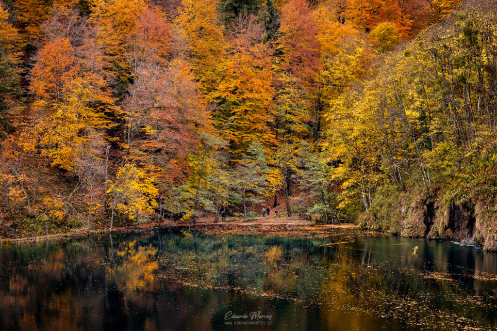 Bosque de otoño con tonos dorados y naranjas reflejados en lago tranquilo rodeado de acantilados