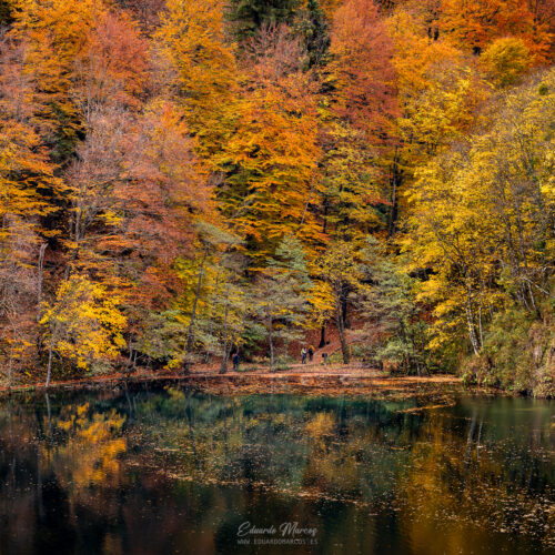 Bosque de otoño con tonos dorados y naranjas reflejados en lago tranquilo rodeado de acantilados