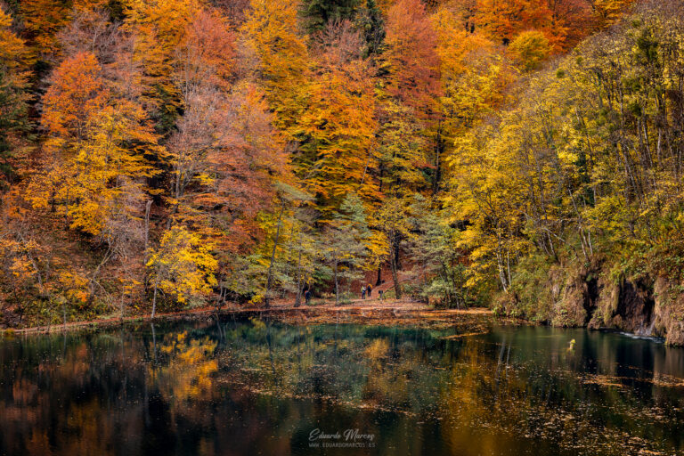 Bosque de otoño con tonos dorados y naranjas reflejados en lago tranquilo rodeado de acantilados
