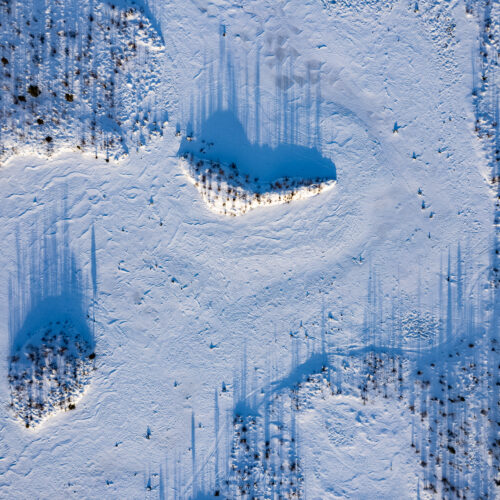 Bosque boreal nevado desde el aire con claros entre pinos y sombras azules en la nieve, Abisko