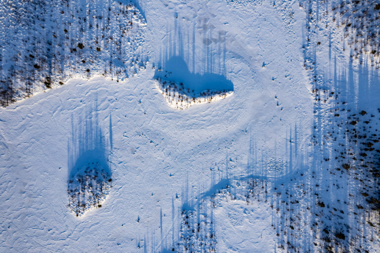 Bosque boreal nevado desde el aire con claros entre pinos y sombras azules en la nieve, Abisko