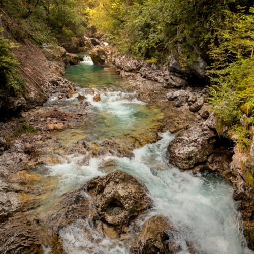 Río de aguas turquesas fluyendo entre rocas calizas en un cañón boscoso con densa vegetación verde