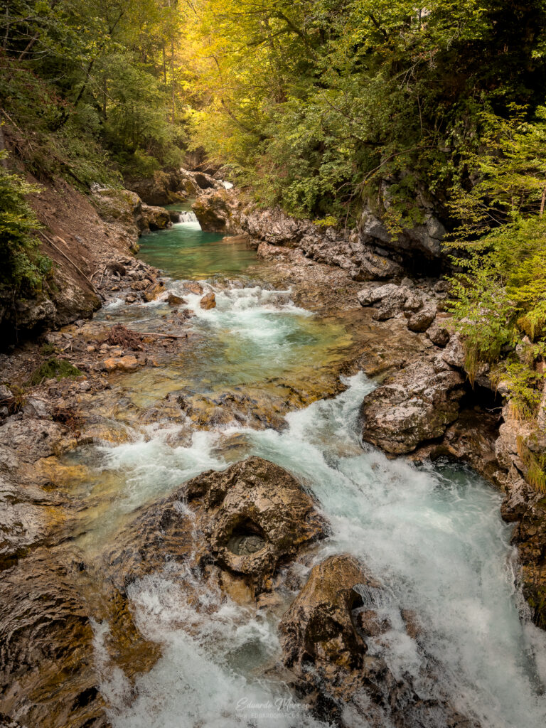 Río de aguas turquesas fluyendo entre rocas calizas en un cañón boscoso con densa vegetación verde