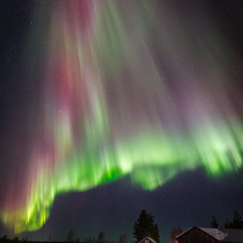 Aurora boreal verde y rosa sobre casas nevadas y bosque de coníferas en la noche ártica