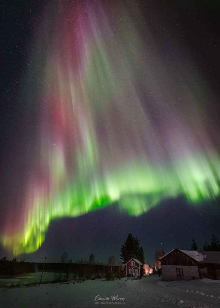 Aurora boreal verde y rosa sobre casas nevadas y bosque de coníferas en la noche ártica