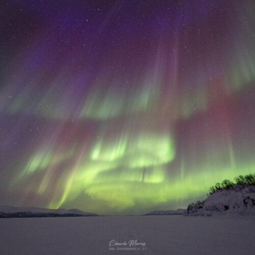 Aurora boreal verde y púrpura sobre lago congelado y bosque nevado en Abisko, Laponia sueca