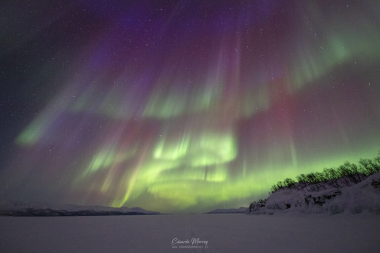 Aurora boreal verde y púrpura sobre lago congelado y bosque nevado en Abisko, Laponia sueca