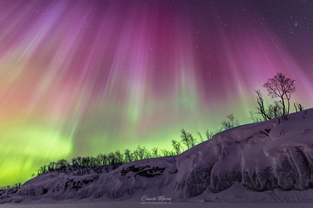 Aurora boreal verde y magenta sobre paisaje nevado con árboles en Abisko, Laponia.
