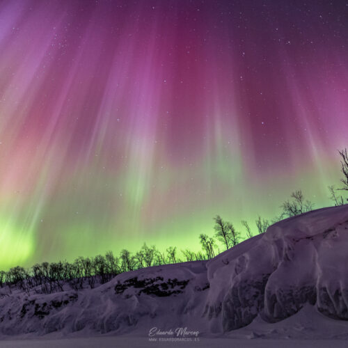 Aurora boreal verde y magenta sobre paisaje nevado con árboles en Abisko, Laponia.